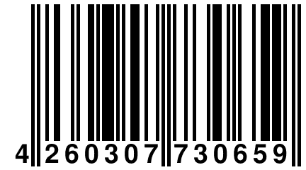 4 260307 730659