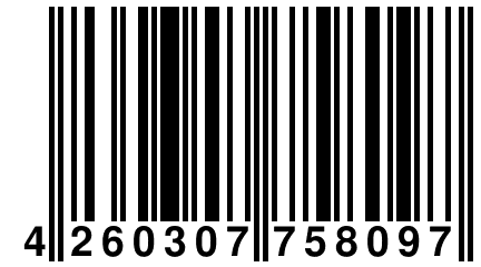 4 260307 758097