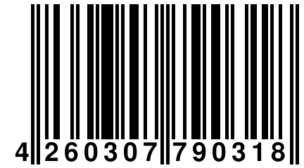 4 260307 790318