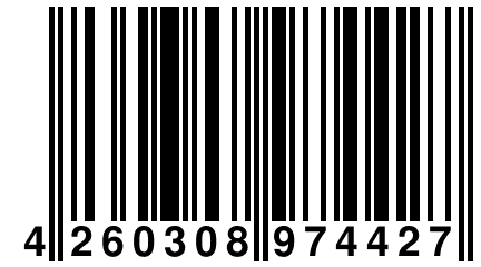 4 260308 974427
