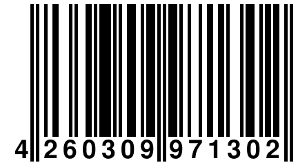 4 260309 971302