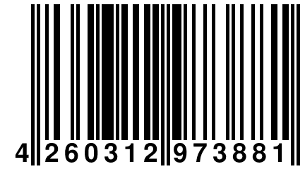 4 260312 973881