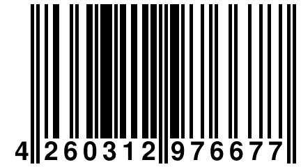 4 260312 976677