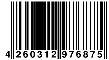 4 260312 976875