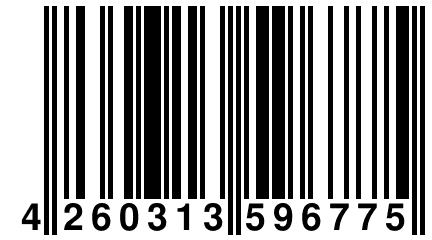 4 260313 596775