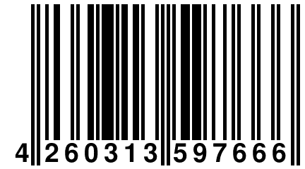 4 260313 597666