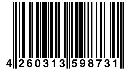4 260313 598731