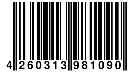 4 260313 981090