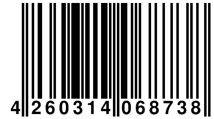 4 260314 068738