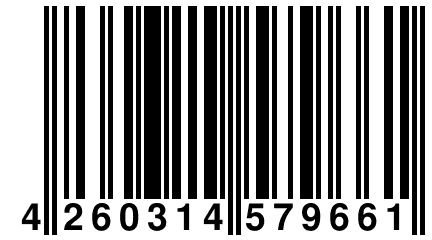 4 260314 579661