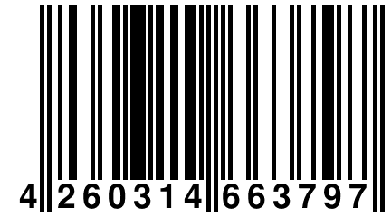 4 260314 663797