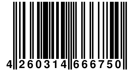 4 260314 666750