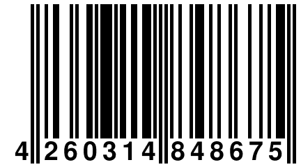 4 260314 848675