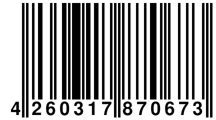 4 260317 870673