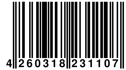 4 260318 231107