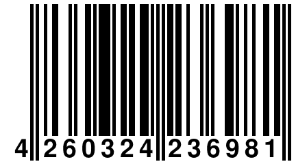 4 260324 236981