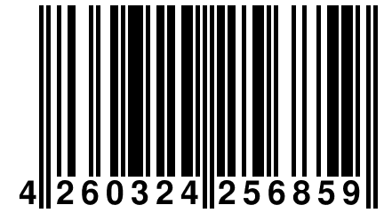 4 260324 256859