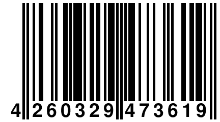 4 260329 473619