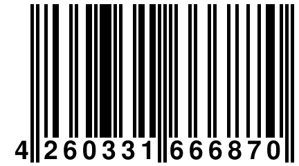 4 260331 666870