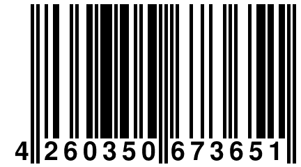 4 260350 673651