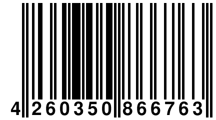 4 260350 866763