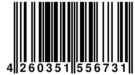 4 260351 556731