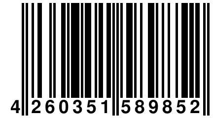 4 260351 589852