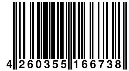 4 260355 166738