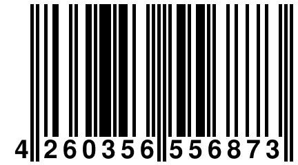 4 260356 556873