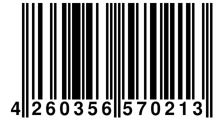 4 260356 570213