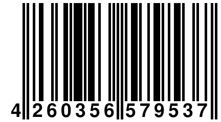 4 260356 579537