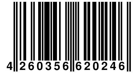 4 260356 620246