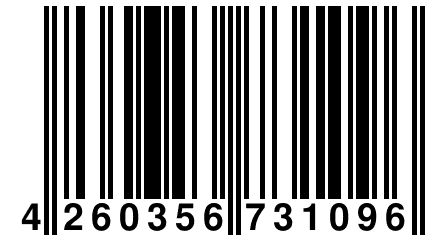 4 260356 731096