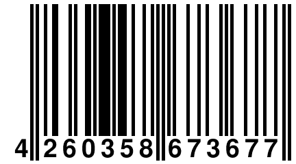 4 260358 673677