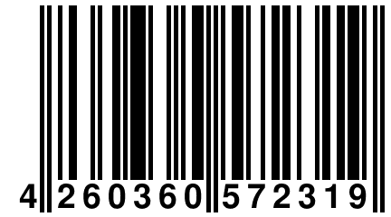 4 260360 572319