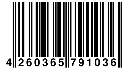 4 260365 791036