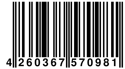 4 260367 570981