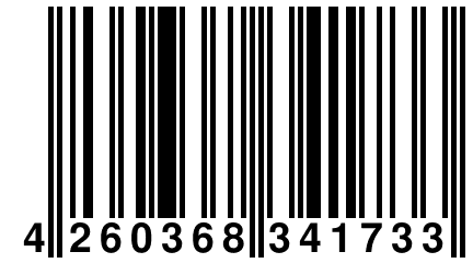 4 260368 341733