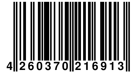 4 260370 216913