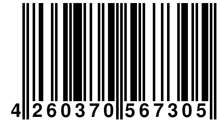 4 260370 567305