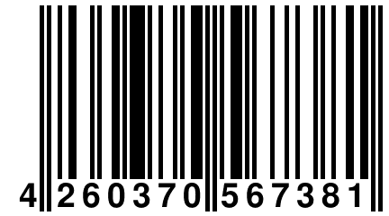 4 260370 567381