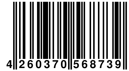 4 260370 568739