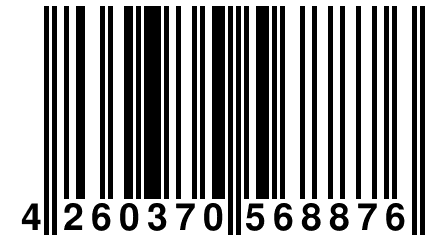 4 260370 568876