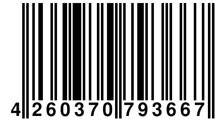 4 260370 793667