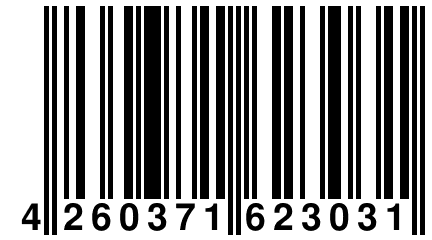 4 260371 623031