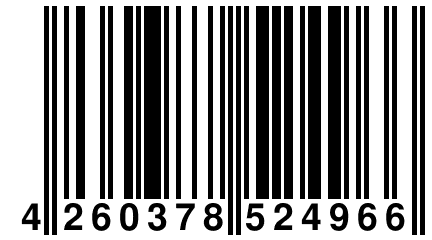 4 260378 524966