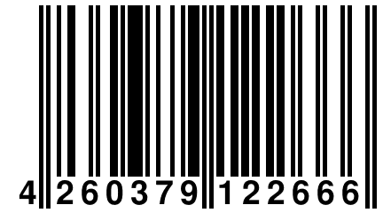 4 260379 122666
