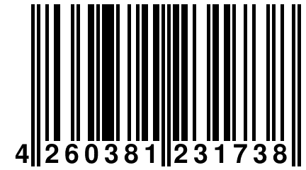 4 260381 231738