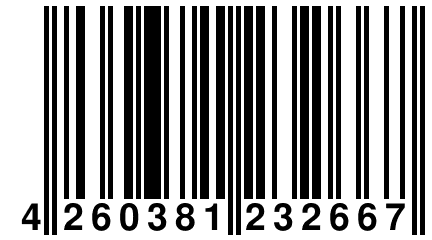 4 260381 232667