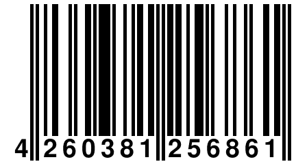 4 260381 256861